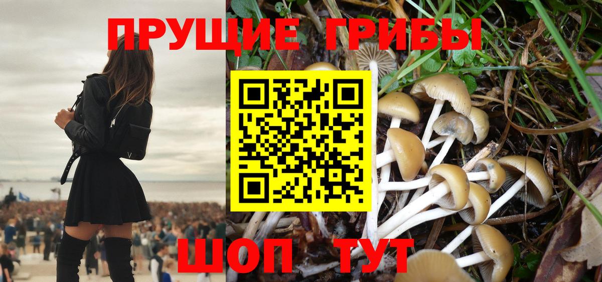 Галлюциногенные грибы прущие грибы  Псилоцибиновые грибы прущие грибы  Кинель  Вход с VPN 