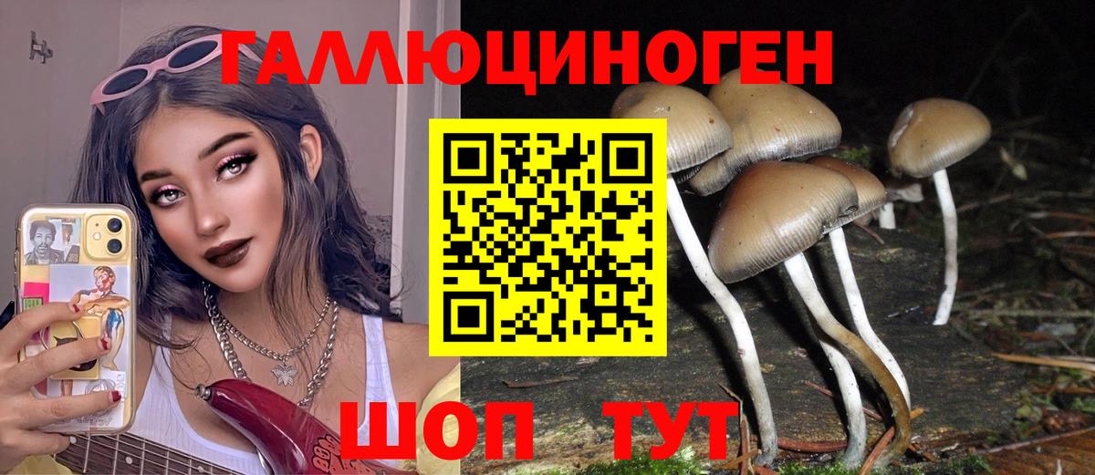 Галлюциногенные грибы мицелий Кинель